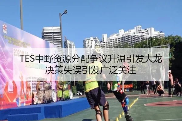 TES中野资源分配争议升温引发大龙决策失误引发广泛关注